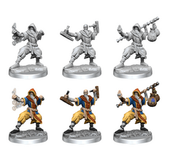 DND FRAMEWORKS: HUMAN MONK MALE